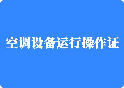 可以观看操b的网站制冷工证